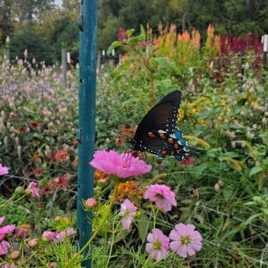 8bac39cc-d83e-489e-92b3-5b90bd5ddbda