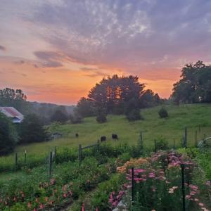 30d62a0f-d34a-49d5-9f24-744a1468e11e