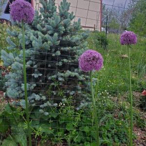 34dfc0ec-2738-41fa-b2d6-22dcf47bf8f2