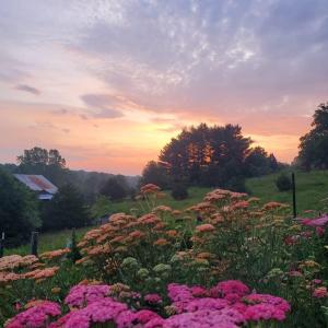 104c9ec9-fc84-49c2-a49c-54a52e51f448