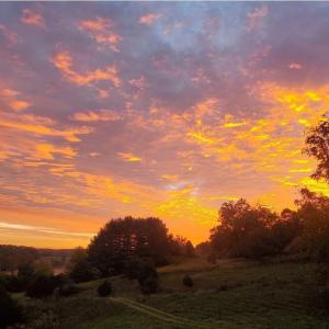 525aa4ec-4c25-45f0-aaa6-f6cd17257877