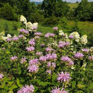 605f92ed-578c-48f6-b61d-64a943401952