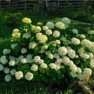 9615b784-f61d-4df3-93da-d212c090fd94