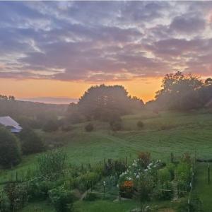 71701eab-635e-44da-8bb2-923134b71a57