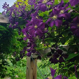 735451e9-22ab-47a3-8b89-08c34fecb49a