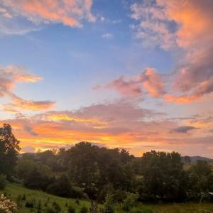 72409788-38f2-4aa4-a850-04fd8ecab160