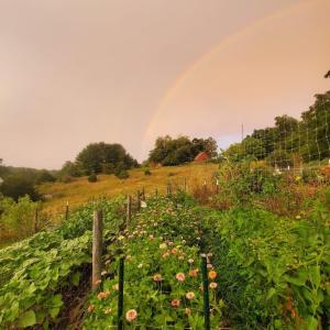 86631681-eb60-4de1-a603-dd9f3f9a35a7