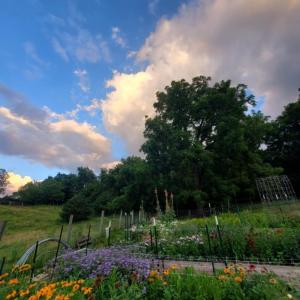 b0181ef9-b3ef-499c-bc37-acdf90546ee6