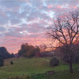 c4acb122-0fa1-425c-8fad-4045ffb10562