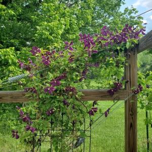 d21cfdcb-b566-4138-b419-dd8bf7073df1