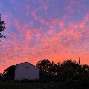 d5014b57-1c0a-4e92-b175-dfdfb9f86207