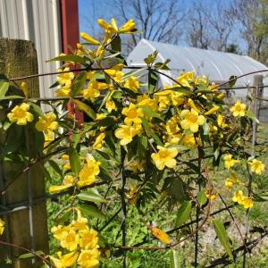 dfd5866a-82a5-44af-8fbd-6608b0acb0e8