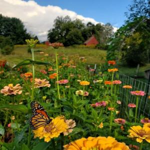 ef4644b0-108a-4ab2-b5d0-38382df58d33