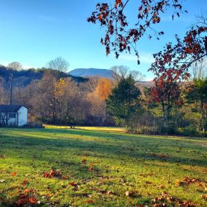 backyard with shed and mountain view
