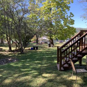 1847 Hawthorne back yard