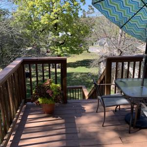 IMG1847 Hawthornr back views 2_0412