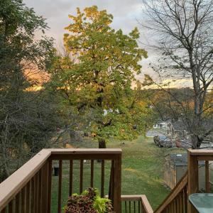 1847 Hawthorne Back Deck views