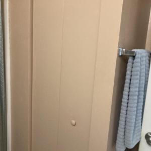 1847 Hawthorne linen closet