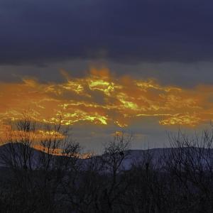 63DB7D67-7EC4-44CE-9916-AD5A008F6FCE-IMG