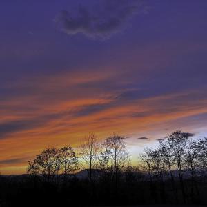 4B291843-7E23-4E82-B2E5-789A6EDD9E2F-IMG