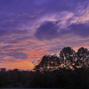 27C2A8BE-9571-410E-8F1A-0732DD7115F3-IMG