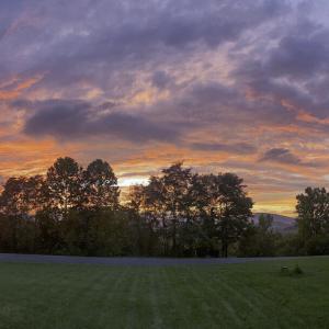 0D2AB5BE-6F85-4F4F-9E23-0957223A819A-IMG