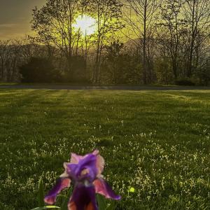 0C3FBB88-5BF1-4047-A651-6309CA6A73E7-IMG