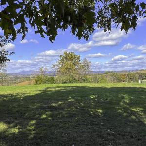 D8767576-935C-4178-BADA-875D174ABE71-IMG