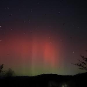 2C5599C3-BD59-4541-8C96-1D26B89201BD-IMG