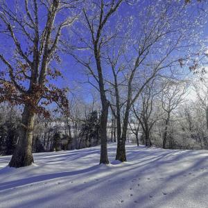 5897B503-9590-4728-8750-C3830B8A1BD0-IMG