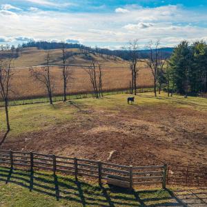 20251119-DJI_20251119145518_0345_D