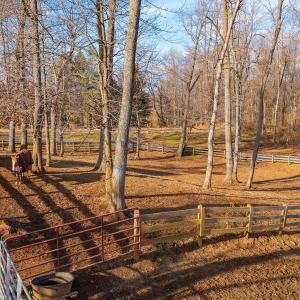 20251119-DJI_20251119150047_0372_D