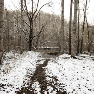 LRM_20251209_162138 (1)