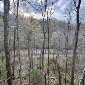 IMG_20251210_061548 (2)