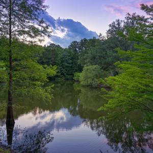 Pond at Twilight