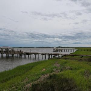 marsh view dock2
