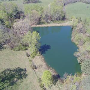 Photo #72 of SOLD property in 500 David Bruce Ave, Charlotte Court House, VA 22.9 acres