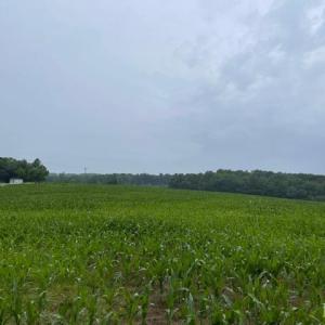 Photo #7 of SOLD property in 4688 S James Madison Hwy, Farmville, VA 280.4 acres