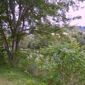 Photo #12 of SOLD property in 1830 Rock Cliff Road, Bedford, VA 6.0 acres