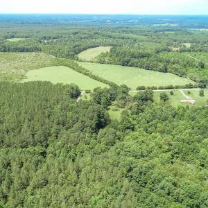 Photo #24 of SOLD property in 10378 Spring Mill Road, Concord, VA 42.4 acres