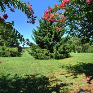 Photo #67 of SOLD property in 1160 Foxmoor Place, Forest, VA 1.5 acres