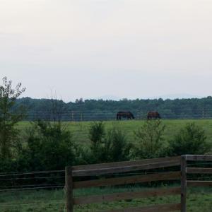 Photo #37 of SOLD property in 225 Cattle Lane, Evington, VA 40.8 acres