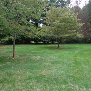Private green space  area in front of townhome