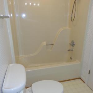 Master bathroom with tub &amp; shower