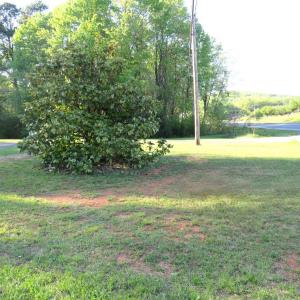 Photo #23 of 11420 Wards Road, Rustburg, VA 1.2 acres