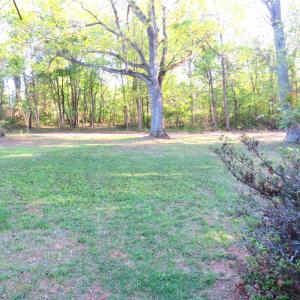 Photo #29 of 11420 Wards Road, Rustburg, VA 1.2 acres