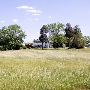 Photo #51 of 1501 Saxkey, Drakes Branch, VA 86.0 acres