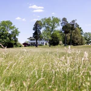 Photo #50 of 1501 Saxkey, Drakes Branch, VA 86.0 acres