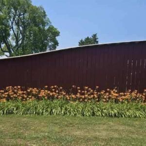 Photo #41 of 1501 Saxkey, Drakes Branch, VA 86.0 acres