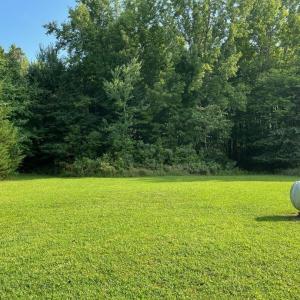 Photo #10 of 7084 Hunting Creek Road, Nathalie, VA 1.5 acres
